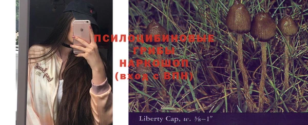 крисы Алексин