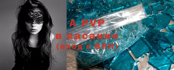 крисы Алексин