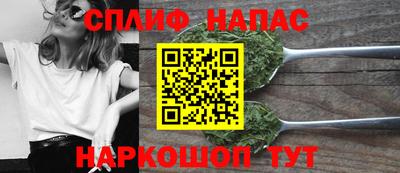 спиды Донской