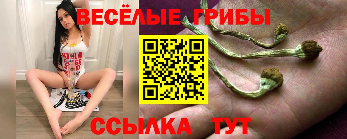 Псилоцибиновые грибы Psilocybe  Вход с VPN  Учалы 